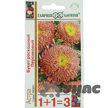 Астра Букет Роскошный персиковый 1+1 Гавриш Ц 