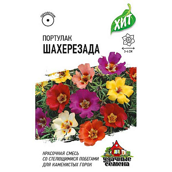 Портулак Шахерезада (метал) Гавриш Ц 