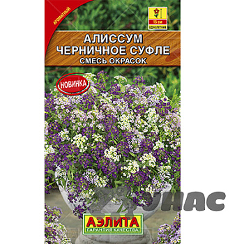 Алиссум Черничное суфле смесь Аэлита Ц 