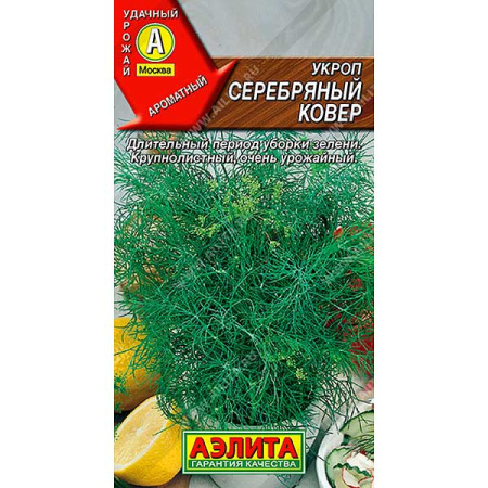 Укроп Серебряный ковер Аэлита Ц