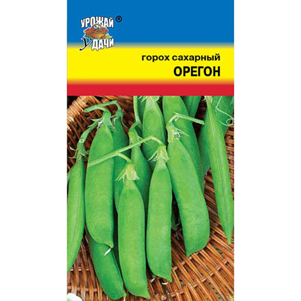 Горох Орегон сахарный Урожай у дачи Ц