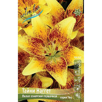 Лилия Тайни Наггет 10/12 25 шт Биг-пак 10022 