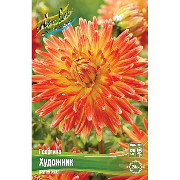 Георгина Художник I 15 шт Шоу-бокс 16104