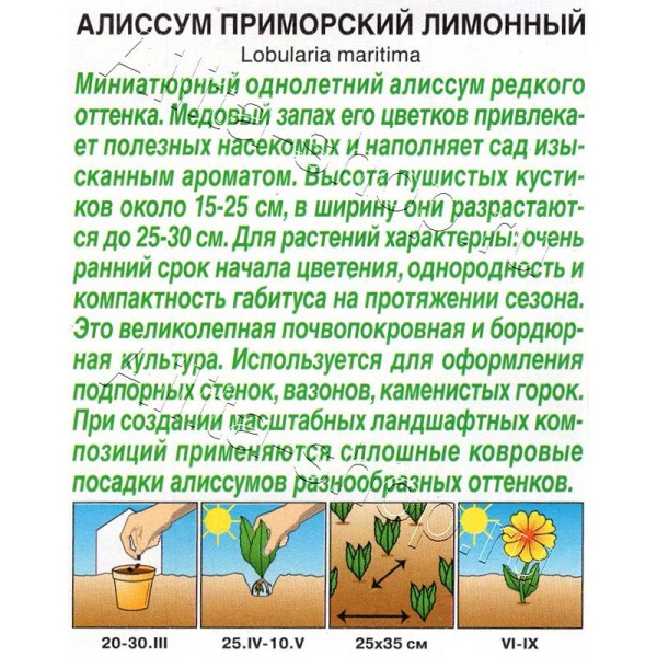 Алиссум приморский Лимонный Аэлита Цх10 