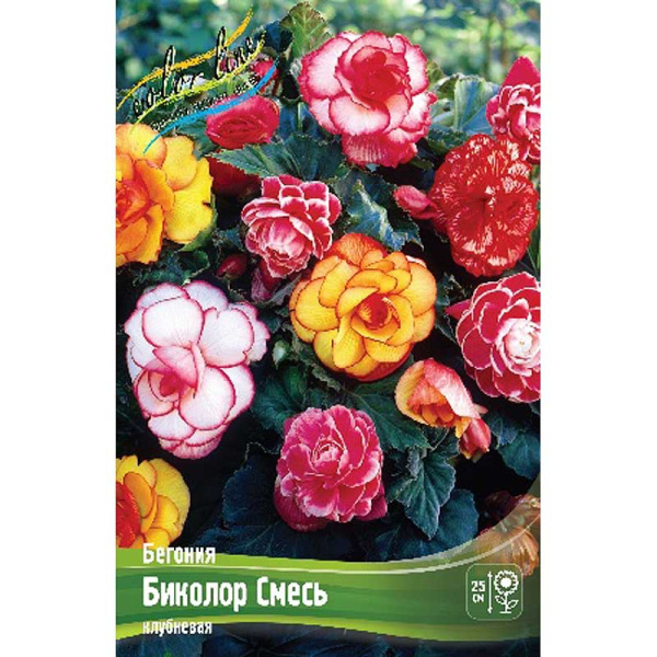 Бегония Биколор Смесь 5/6 3 шт 