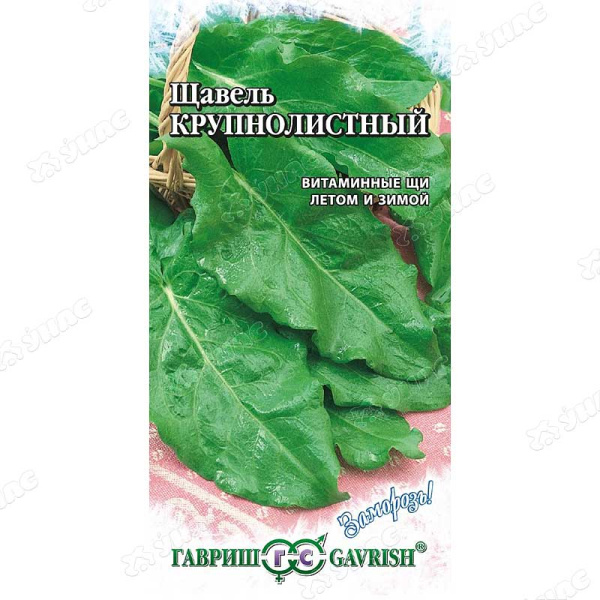 Щавель Крупнолистный (металл) Гавриш