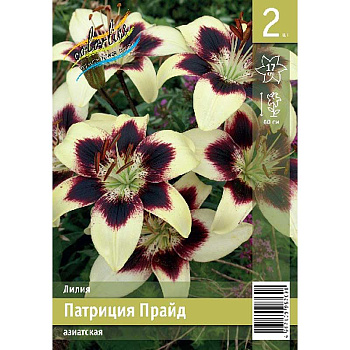 Лилия Патриция Прайд 12/14 2 Эконом шт