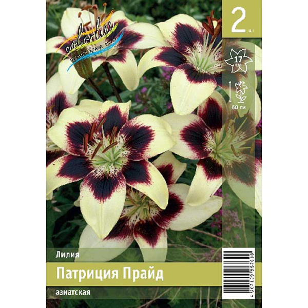 Лилия Патриция Прайд 12/14 2 Эконом шт