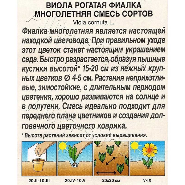 Виола Фиалка многолетняя Аэлита 