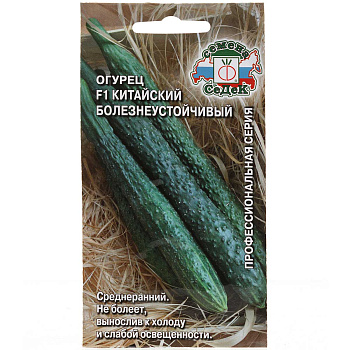Огурец Китайский болезнеустойчивый Седек Ц