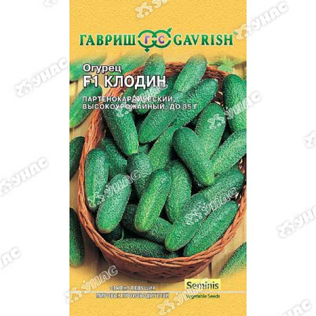 Огурец Клодин Гавриш Ц