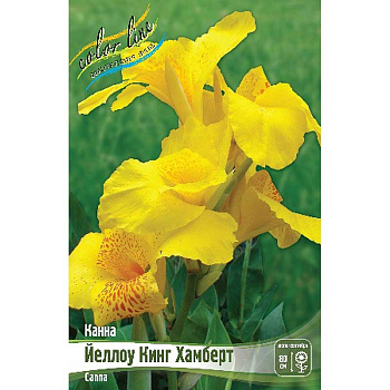 Канна (Зелен) Йеллоу Кинг Хамберт I 15 шт Шоу-бокс 8686