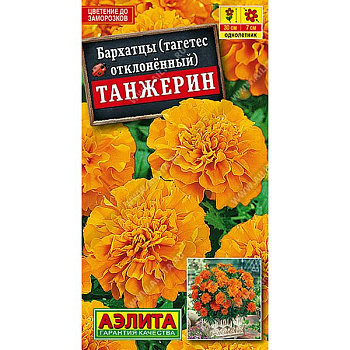 Бархатцы Танжерин Аэлита Ц 