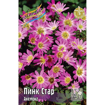 Анемона Пинк Стар 5/+ 10 шт