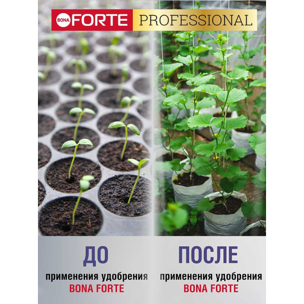 Бона Форте 100гр универсальное х10/30 