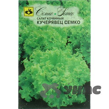 Салат Кучерявец Семко Ц