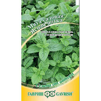 Мята садовая Ясная нотка Гавриш Ц