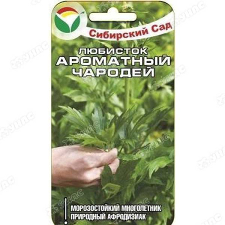 Любисток Ароматный чародей СибСад Ц