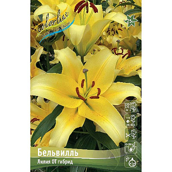 Лилия Бельвилль 12/14 25 шт Биг-пак 11197 