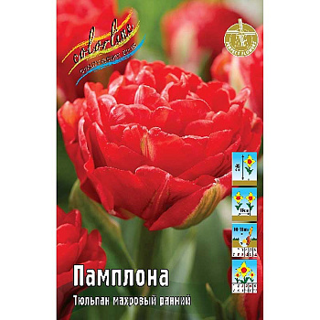 14950 Шоу-Бокс Тюльпан Памплона 11/12 75 шт