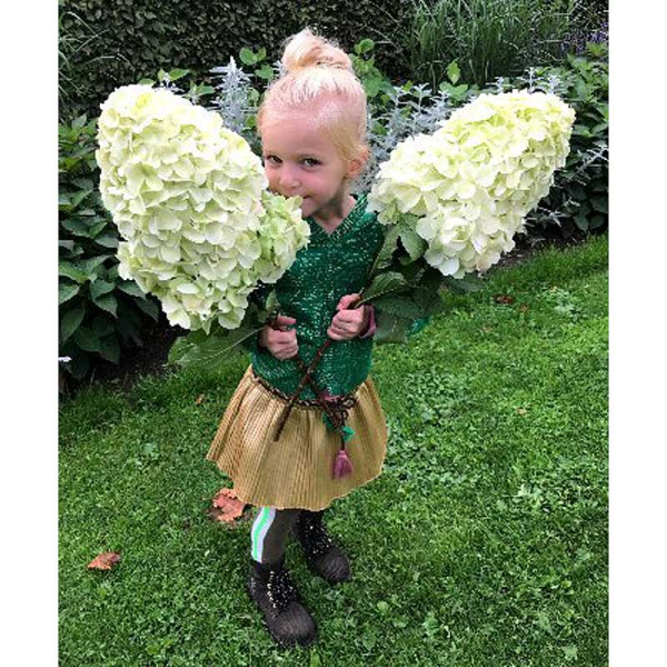 Гортензия Метельчатая Геркулес P12