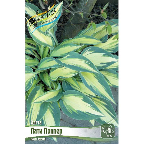 Хоста Пати Поппер 1 n 25 шт Биг-пак 5949 