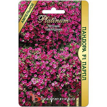 Петуния Пандора Парпл гибрид  Биотехника Ц 