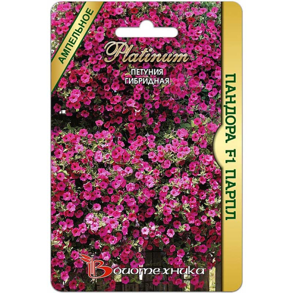 Петуния Пандора Парпл гибрид  Биотехника Ц 