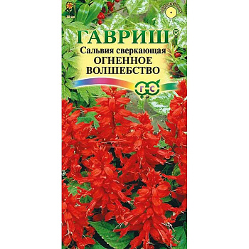 Сальвия Огненное волшебство Гавриш Ц 
