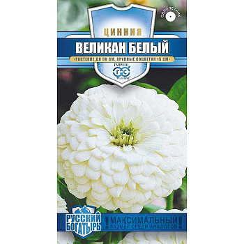 Циния Великан белый Гавриш Ц 