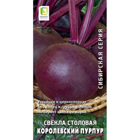 Свекла Королевский пурпур Поиск Ц