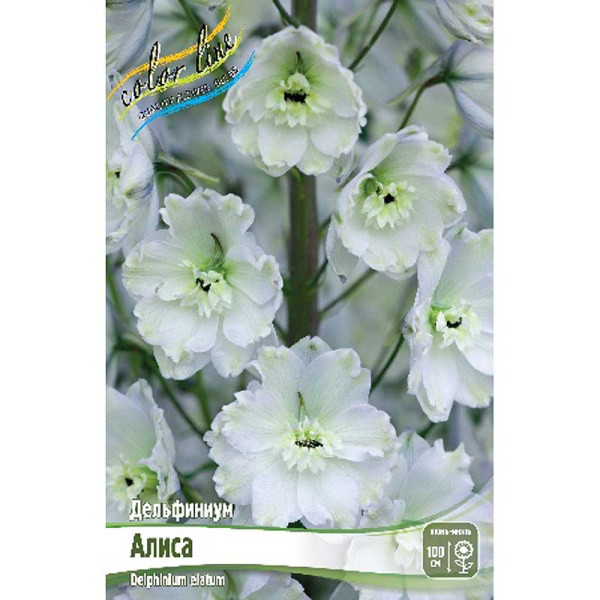 Дельфиниум Алиса 3/5 n 1 шт