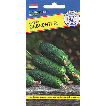 Огурец Северин Престиж Ц