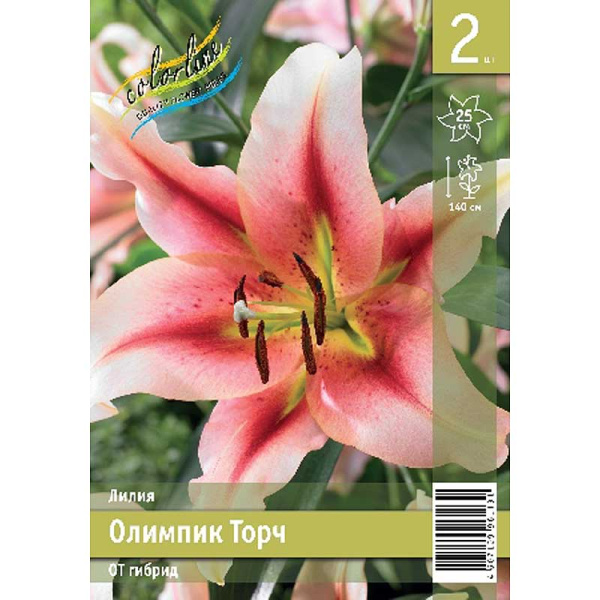Лилия Олимпик Торч 12/14 2 Эконом шт 