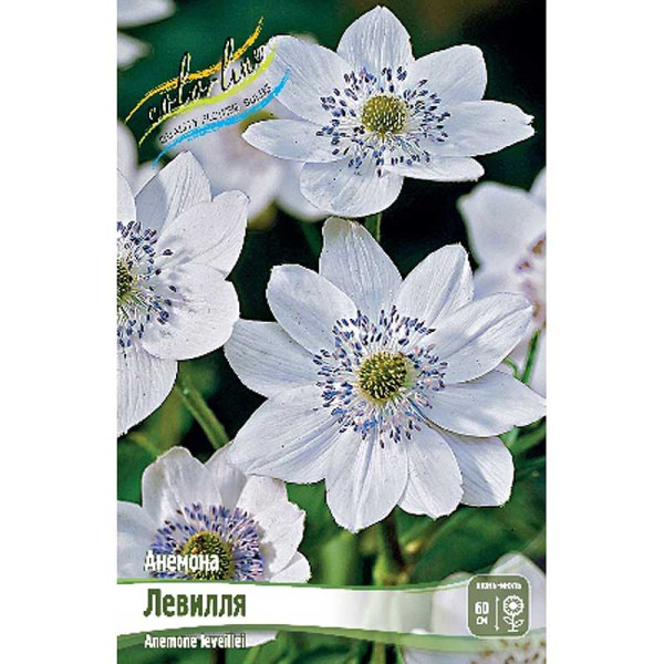 8293 Биг-Пак Анемона Левилля I 25 шт