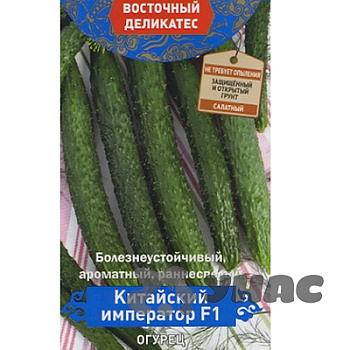 Огурец Китайский император Поиск Ц