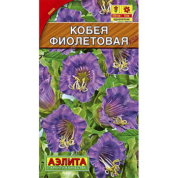 Кобея Фиолетовая Аэлита Ц 