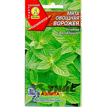 Мята Ворожея овощная Аэлита Ц