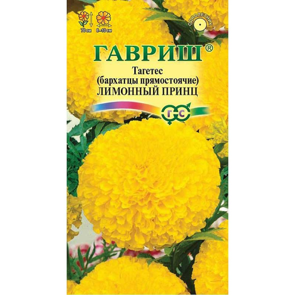 Бархатцы Лимонный принц Гавриш Ц 