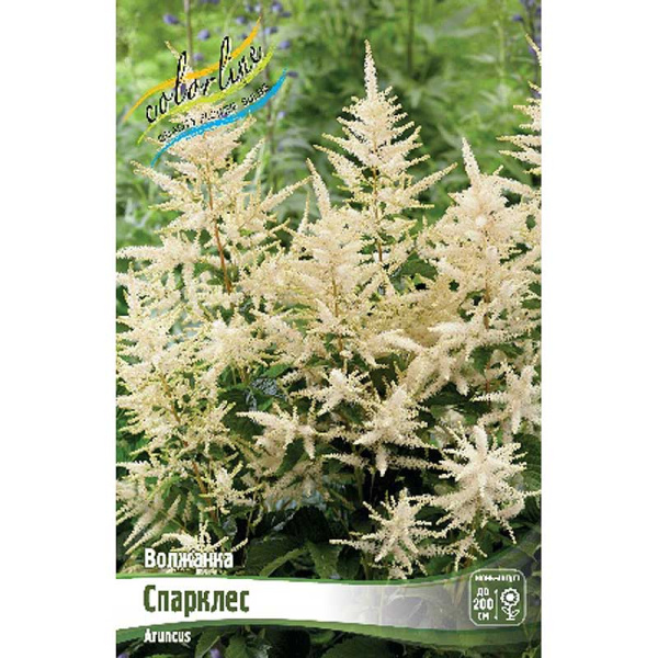 Волжанка Спарклес I 25 шт Биг-Пак 16270