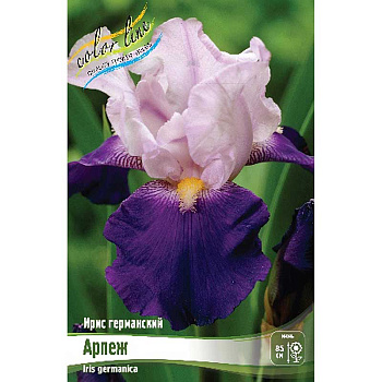 Ирис Германский Арпеж I 1 шт
