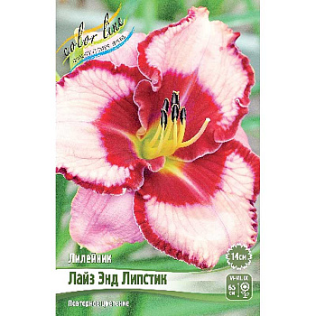 Лилейник Лайз Энд Липстик I 1 шт