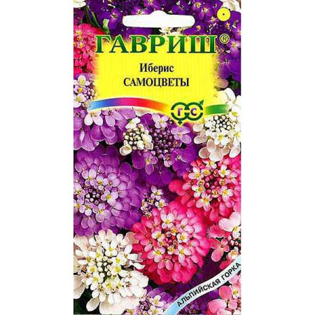 Иберис Самоцветы для альпийских горок Гавриш Ц 