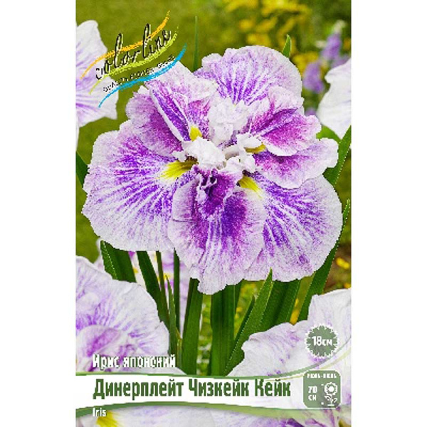 Ирис Мечевидный Динерплейт Чизкейк Кейк I 25 шт Биг-пак 8612