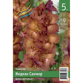 Гладиолус Индиан Саммер 10/12 5 Эконом шт 