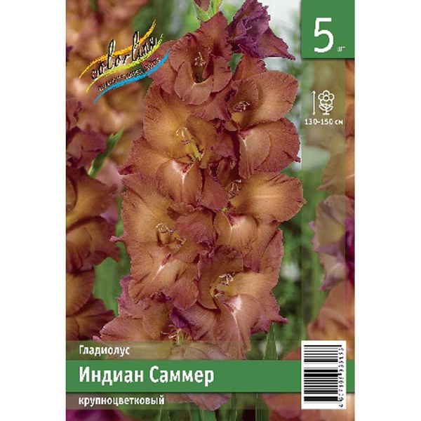 Гладиолус Индиан Саммер 10/12 5 Эконом шт 