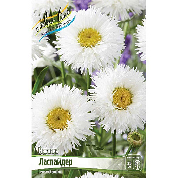 Нивяник Ласпайдер I 1 шт