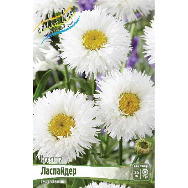 Нивяник Ласпайдер I 1 шт