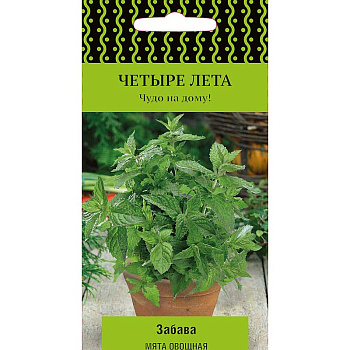 Мята Забава Поиск Ц