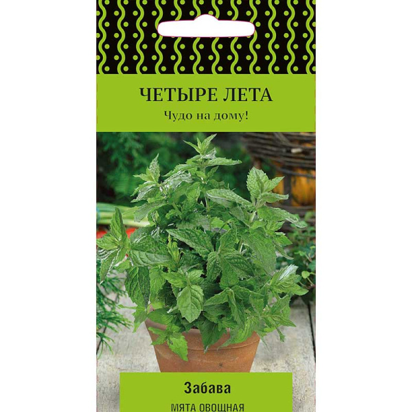 Мята Забава Поиск Ц